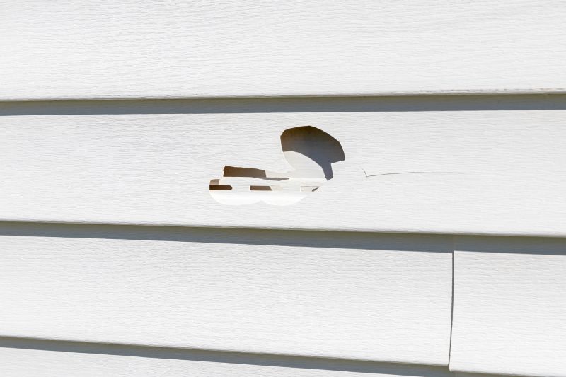 Sealed Vinyl Siding Repair